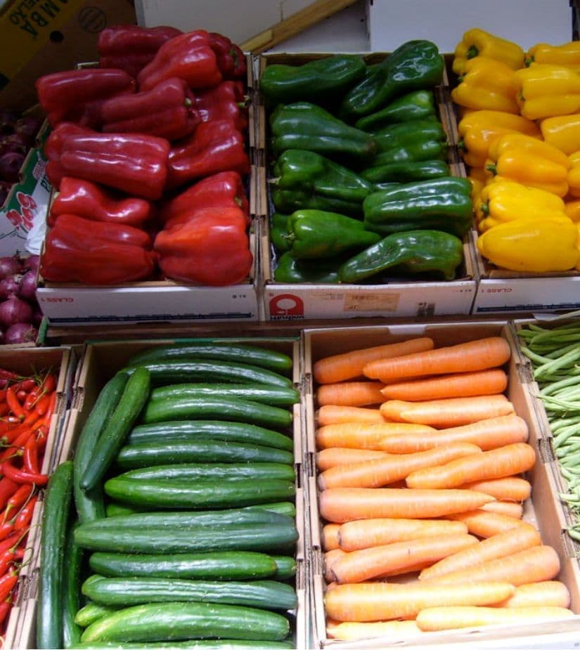 フォトサンプル